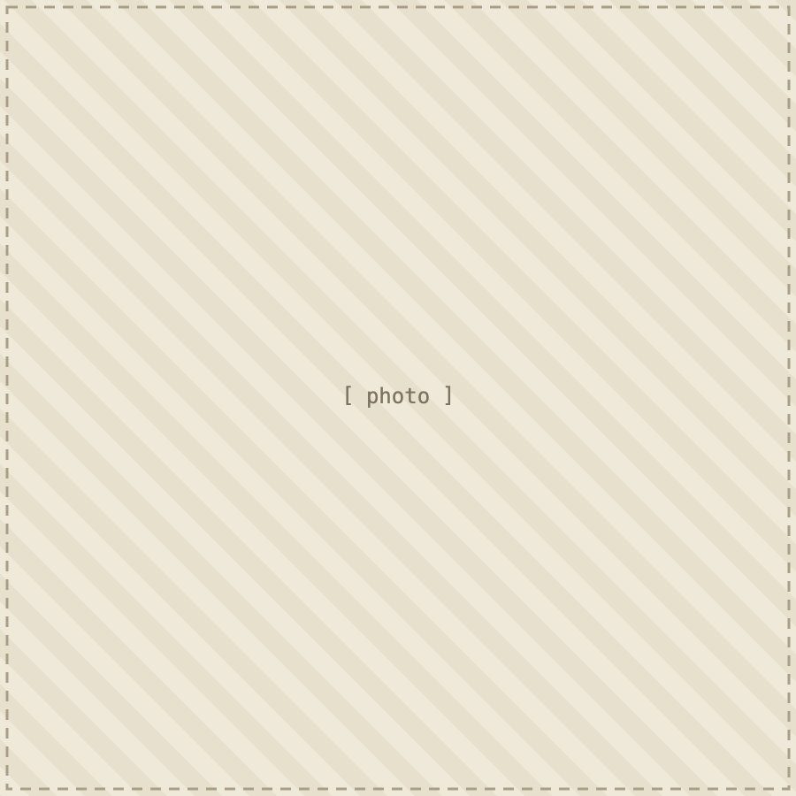 Leader photo placeholder — replace me